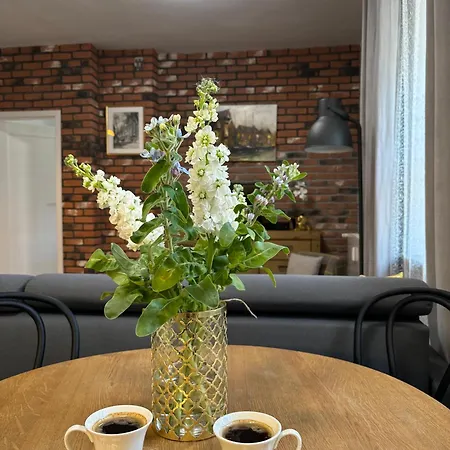 アパート Kamienica Pod Lwem *